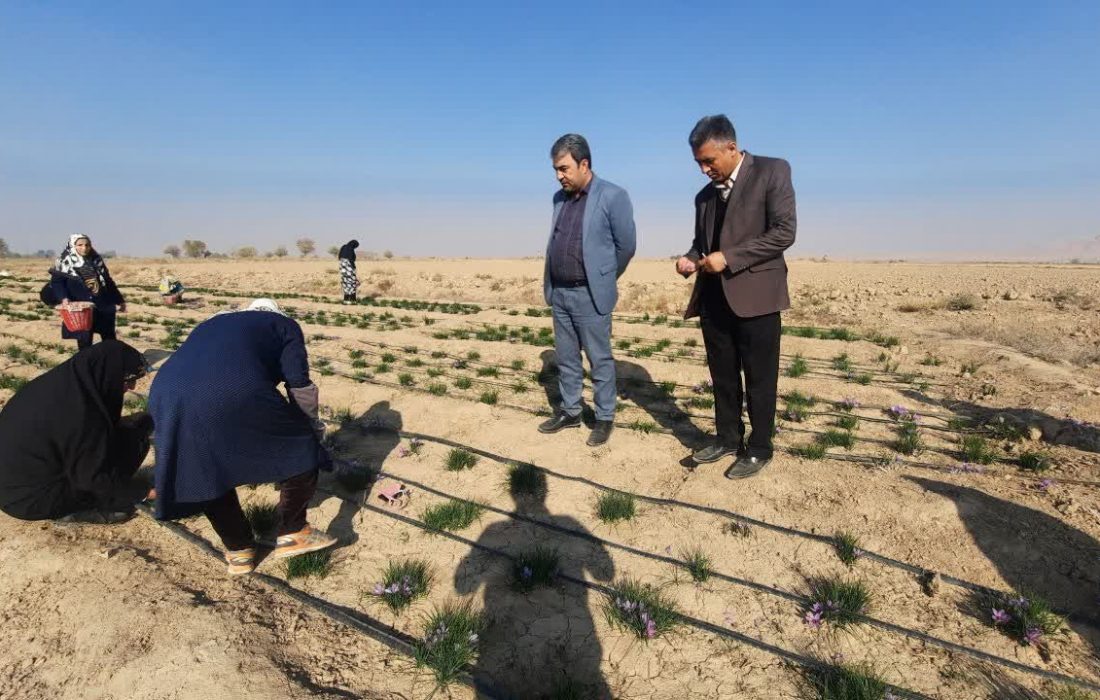 فعالیت ۲۲ صندوق خرد زنان روستایی و عشایری در شهرستان ورامین